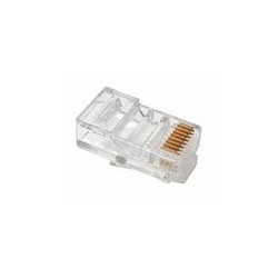 CABLE JACK RJ45